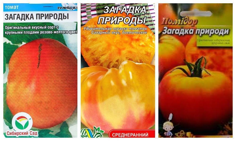 Томат загадка: описание сорта, отзывы, фото, урожайность | tomatland.ru