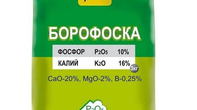 Нитрофоска – инструкция по применению удобрения, для чего, состав,как разводить, отзывы, аналоги. удобрение нитрофоска: состав и применение на огороде