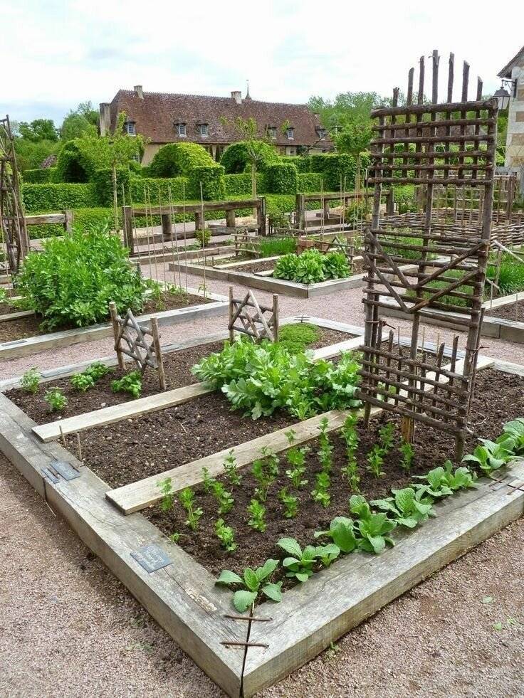 Ландшафтный дизайн дачного участка, огорода: стили частных огородов, современные грядки, как сделать дизайн огорода своими руками