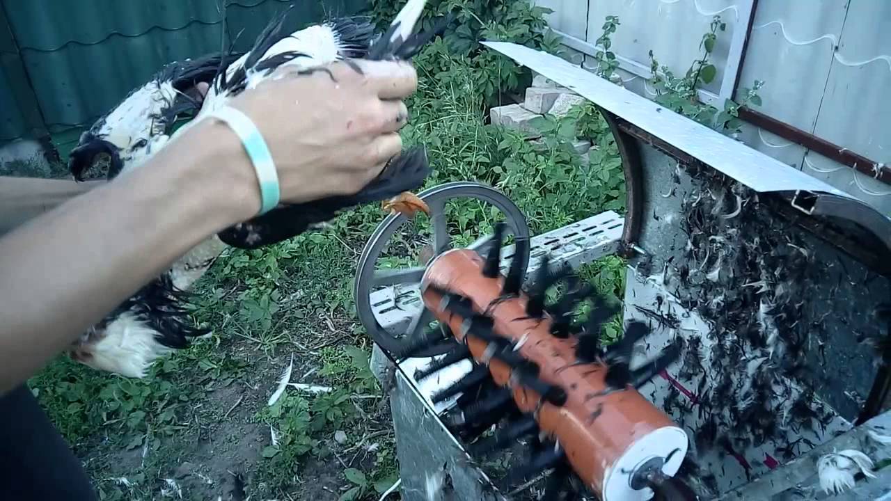 Перощипальная машина для гусей