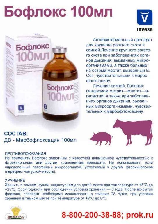 Слабость в ногах — чем может быть вызван этот симптом?