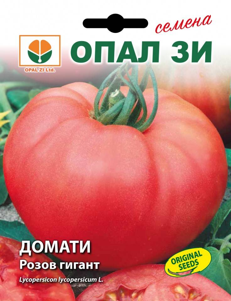 Томат розовый гигант: описание сорта и характеристики, урожайность, отзывы с фото