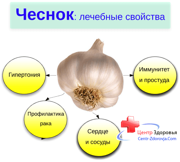 Зеленый чеснок: польза и вред, приготовление — life-sup.ru