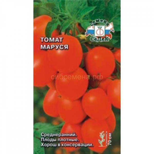 Томат маруся: характеристика и описание сорта, фото, отзыв