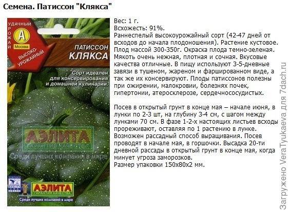 Чем патиссон отличается от кабачка? | в чем разница