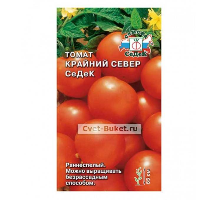 Томат крайний север: описание, фото, отзывы