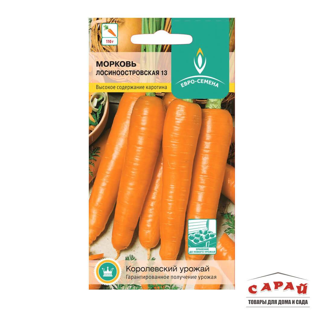Морковь лосиноостровская 13: описание сорта и особенности выращивания