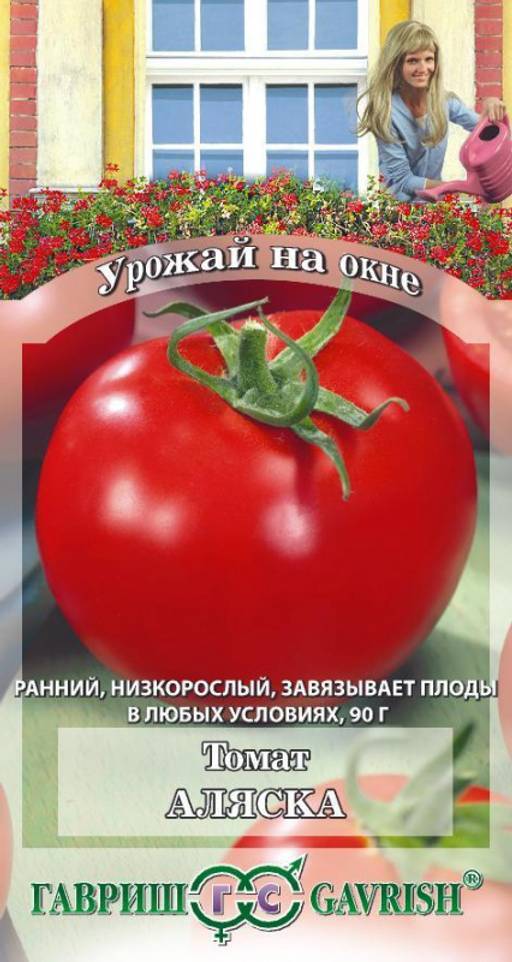 Томат аляска: характеристика и описание сорта марки гавришь, фото и отзывы тех кто сажал о выращивании помидоров из семян