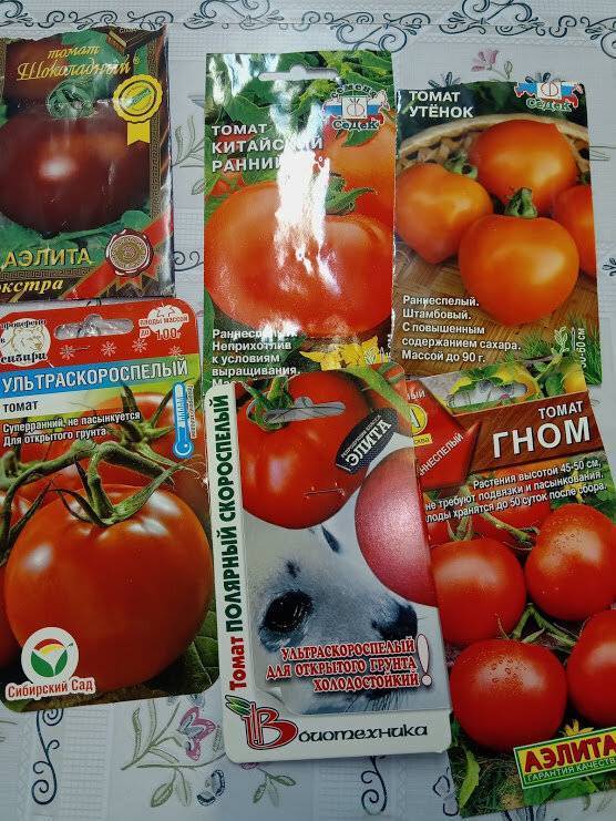 Лучшие низкорослые сорта томатов для открытого грунта ранние, урожайные, крупноплодные для подмосковья, сибири, урала: описание и характеристика, фото