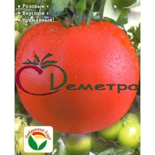 Томат сибирское яблоко: отзывы, фото, урожайность, описание и характеристика