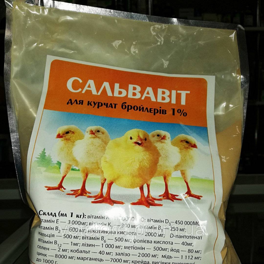 Витамины для бройлеров и цыплят: какие и как давать в домашних условиях, дозировка