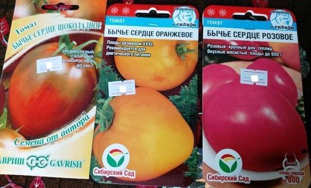 Выращивание томатов бычье сердце | дачный участок — когда сажать томат бычье сердце на рассаду