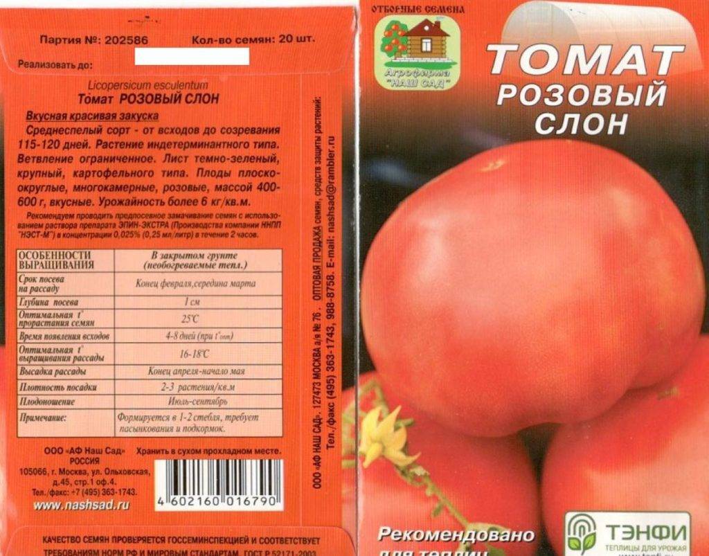 Сорт томата «розовый слон»   –  отзывы, фото, описание помидора