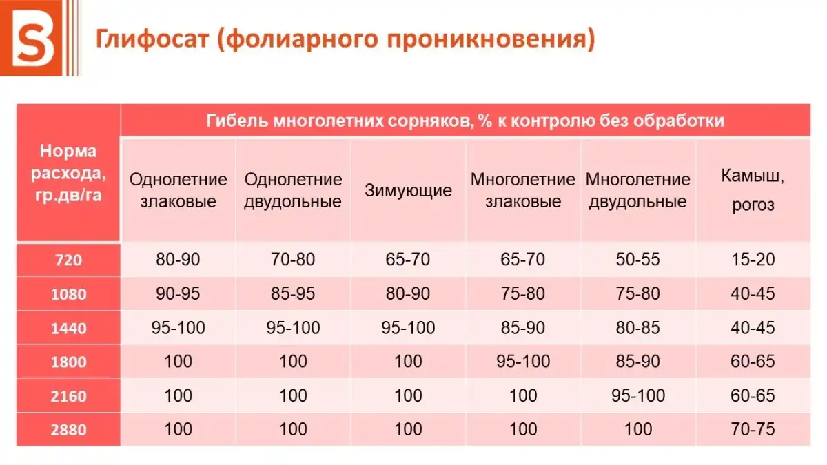 Гербицид глифос: секреты применения для успешной борьбы с сорняками