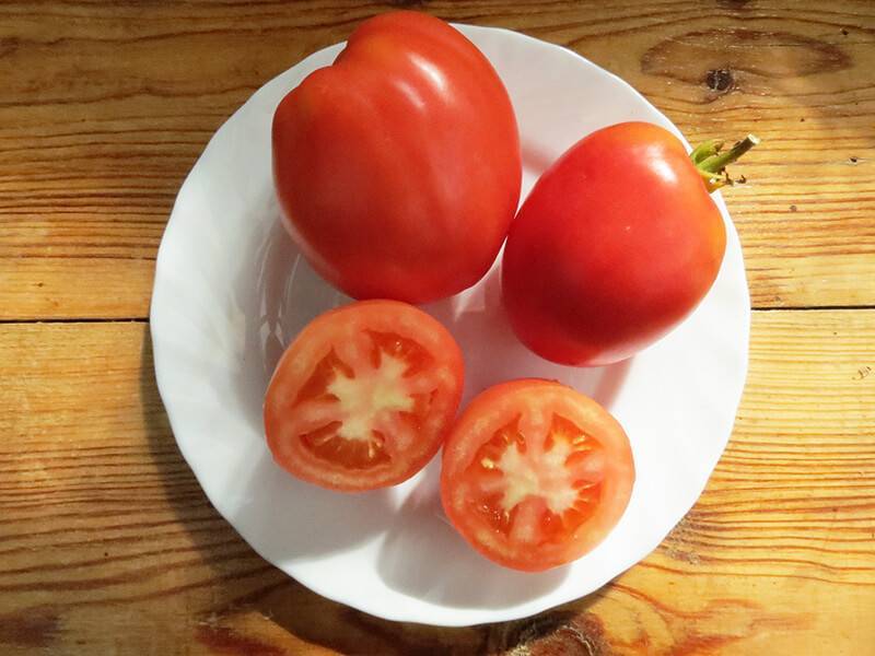 Описание раннеспелого томата настенька и агротехника выращивания растения