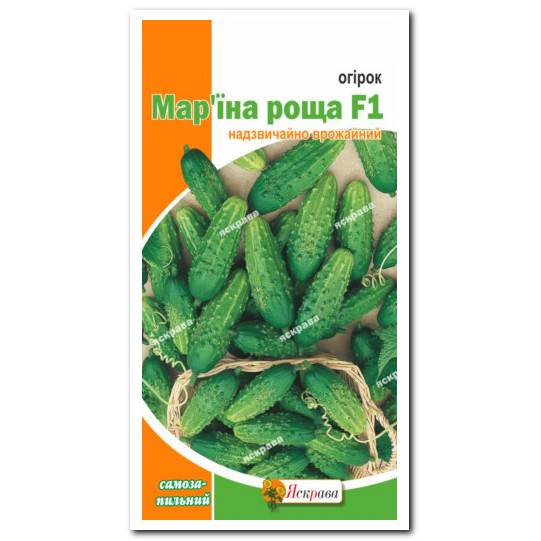 Огурец марьина роща f1: подробное описание урожайного корнишонного гибрида, отзывы и особенности выращивания