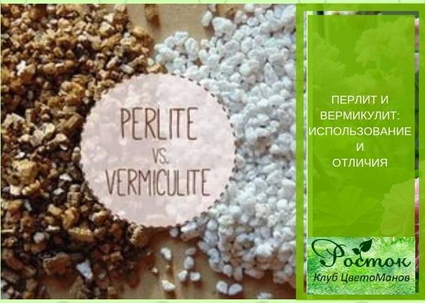 Перлит или вермикулит - что лучше, как использовать | floravdome.ru