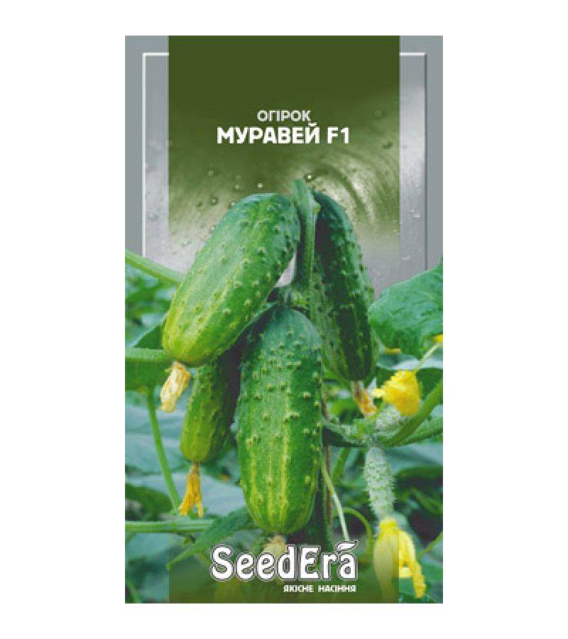 Огурец Муравей f1: отзывы + фото
