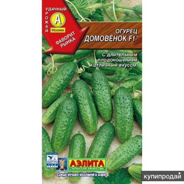 Выбираем самые сладкие сорта огурцов, которые никогда не горчат