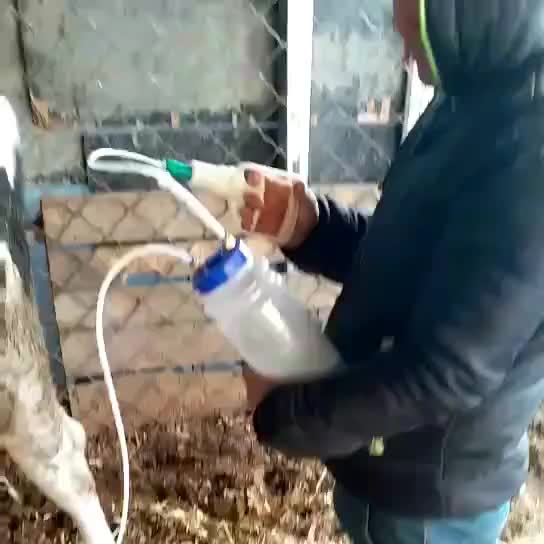 Доильный аппарат для коров его необходимость в домашнем хозяйстве