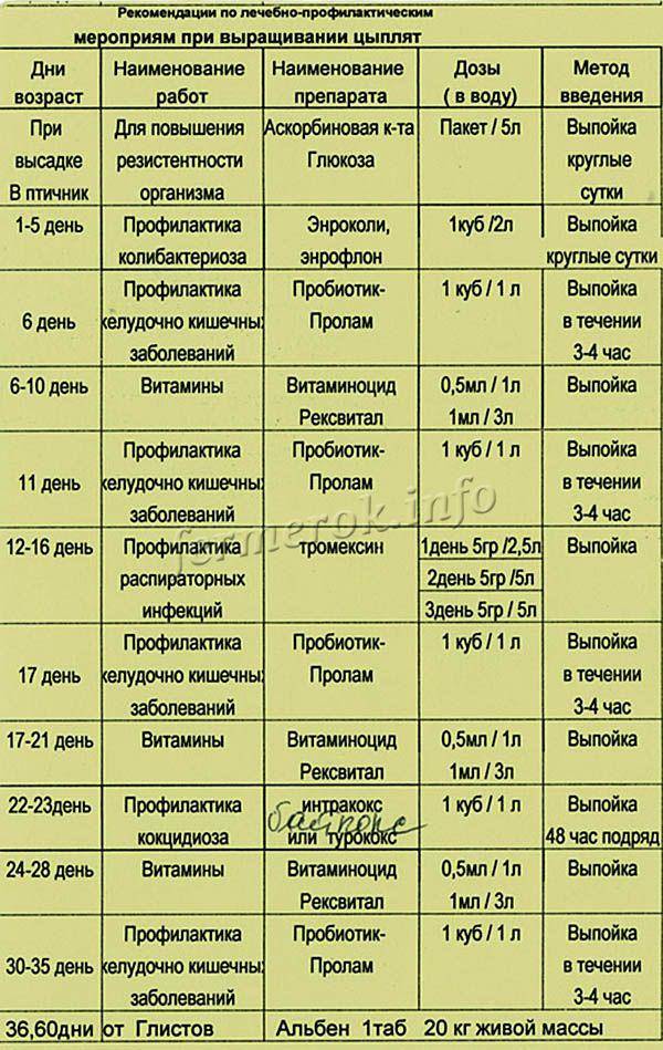 Тилан для индюшат схема