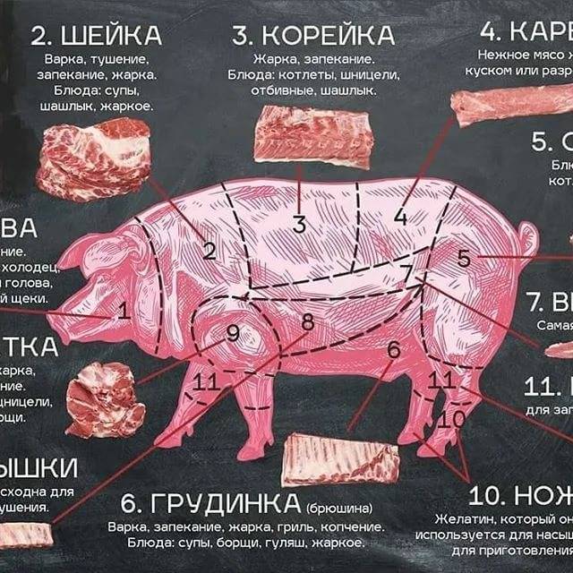 Какая часть свинины самая мягкая и вкусная: корейка, вырезка