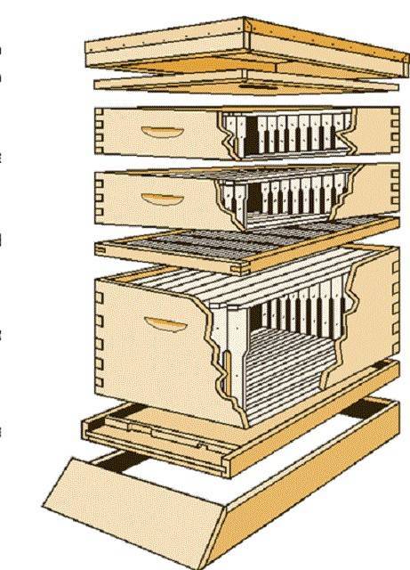 Чертежи японского улья для пчел