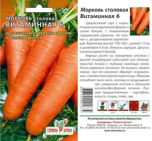 Морковь сорта «витаминная 6»: описание и несколько советов по выращиванию