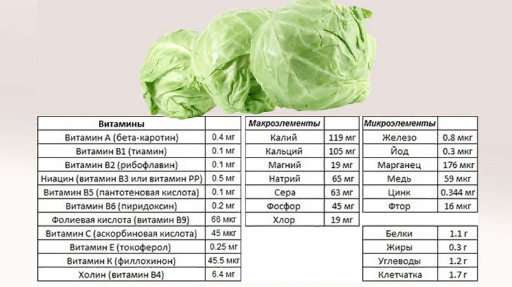 Белокочанная капуста: польза и вред овоща