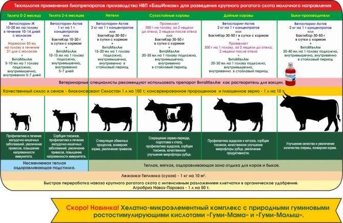 Иммунобиологические и патогенетические особенности вирусной диареи крупного рогатого скота