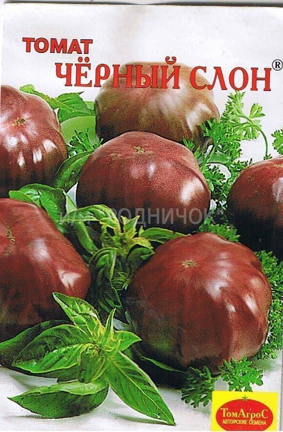 Семена:томат чёрный слон. томаты, семена овощей. , , . продажа и доставка по краснодару и россии.