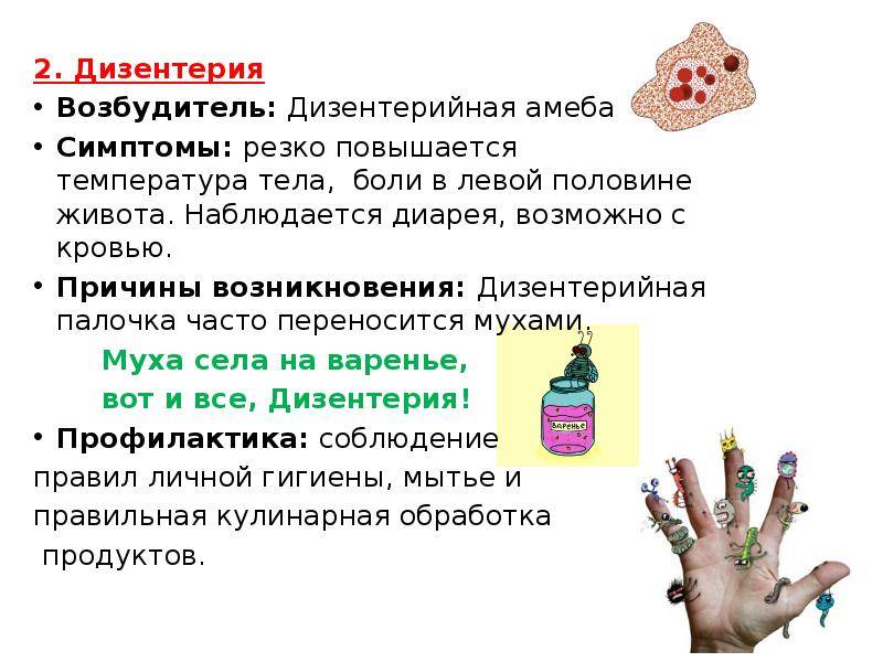 Дизентерия свиней: возбудитель и симптомы, методы лечения и профилактика