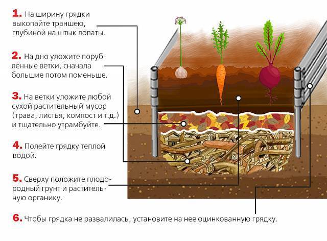Схема теплой грядки