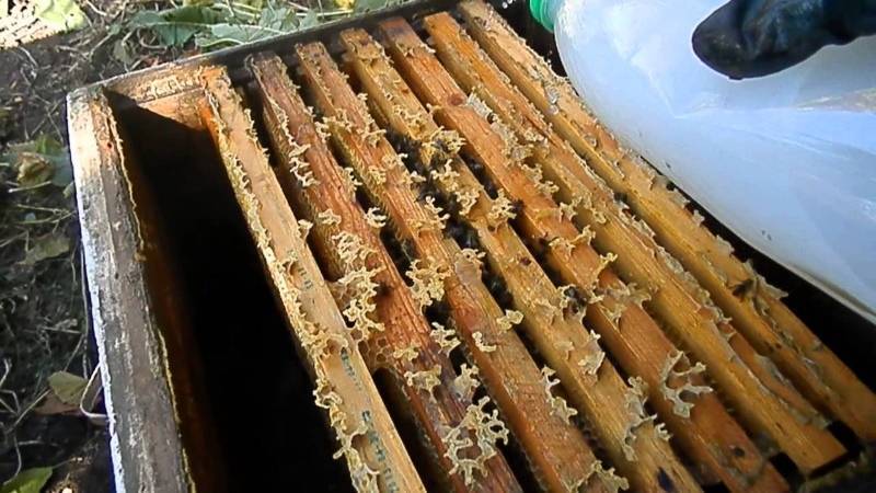 Бипин для пчел: инструкция по применению