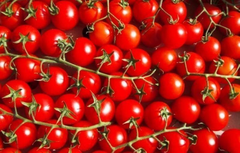 Помидоры черри вишня красная: описание, фото и особенности выращивания