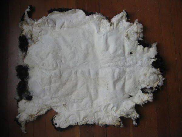 Выделка шкур овец в домашних условиях, пошаговая инструкция обработки