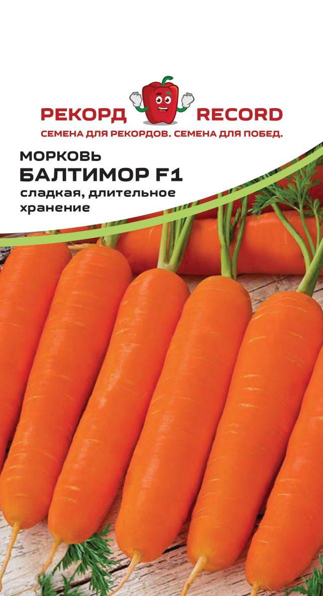 Морковь балтимор f1: описание, фото, отзывы