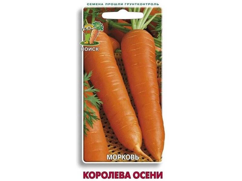 Как уберечь морковь от морковной мухи