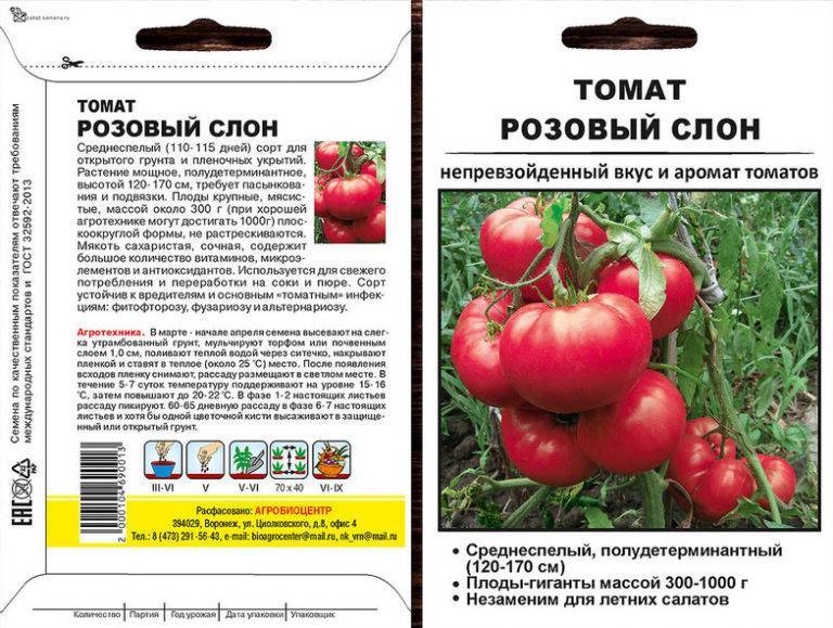 Об особенностях томата розовый спам: описание сорта и нюансы выращивания
