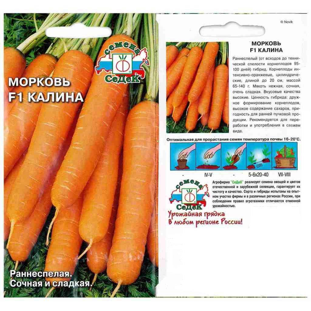 Лучшие сорта моркови для открытого грунта в сибири