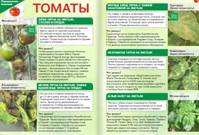 Болезни рассады томатов описание, фото, способы и методы лечения