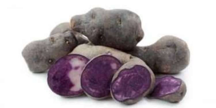 Сорт картофеля фиолетовый: характеристика и описание, отзывы, фото