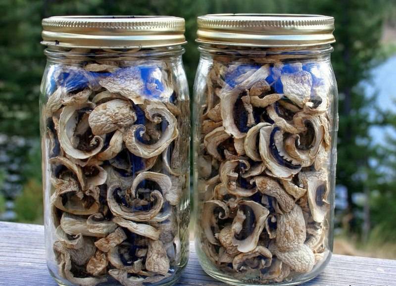 Сколько можно хранить сушеные грибы в домашних
