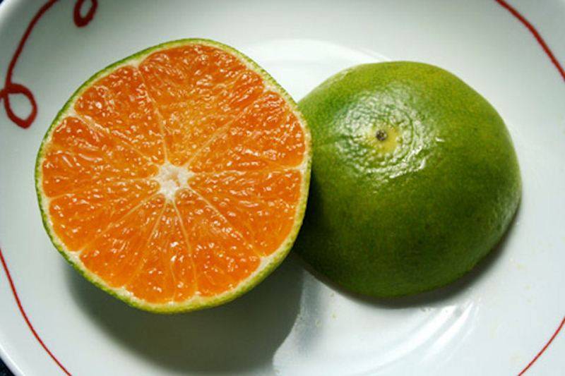 Название зеленого апельсина