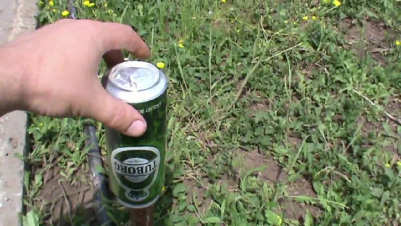 Как избавиться от кротов на дачном участке раз и навсегда: самый лучший способ