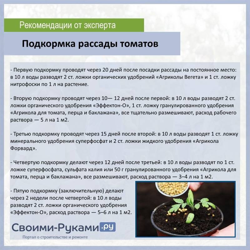 Подкормка рассады томатов и перца в домашних условиях: народные средства, удобрения