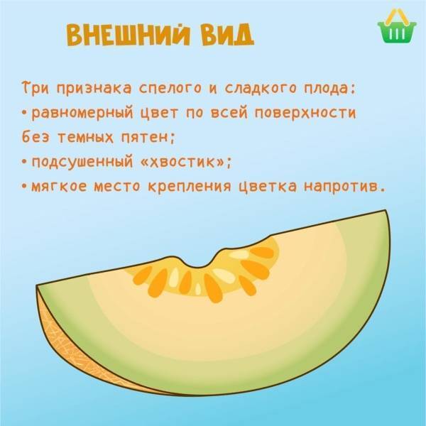 Пошаговая инструкция, как выбрать дыню правильно: полезные советы и лайфхаки по поиску самого вкусного фрукта