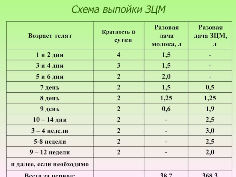 Схемы кормления телят от рождения до 6 месячного возраста