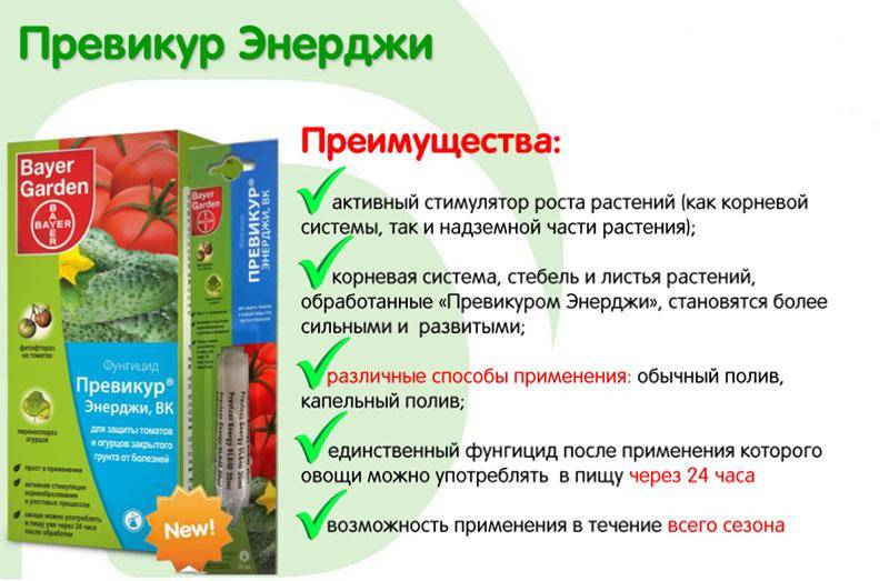 Препарат консенто отзывы - товары для дома - первый независимый сайт отзывов россии