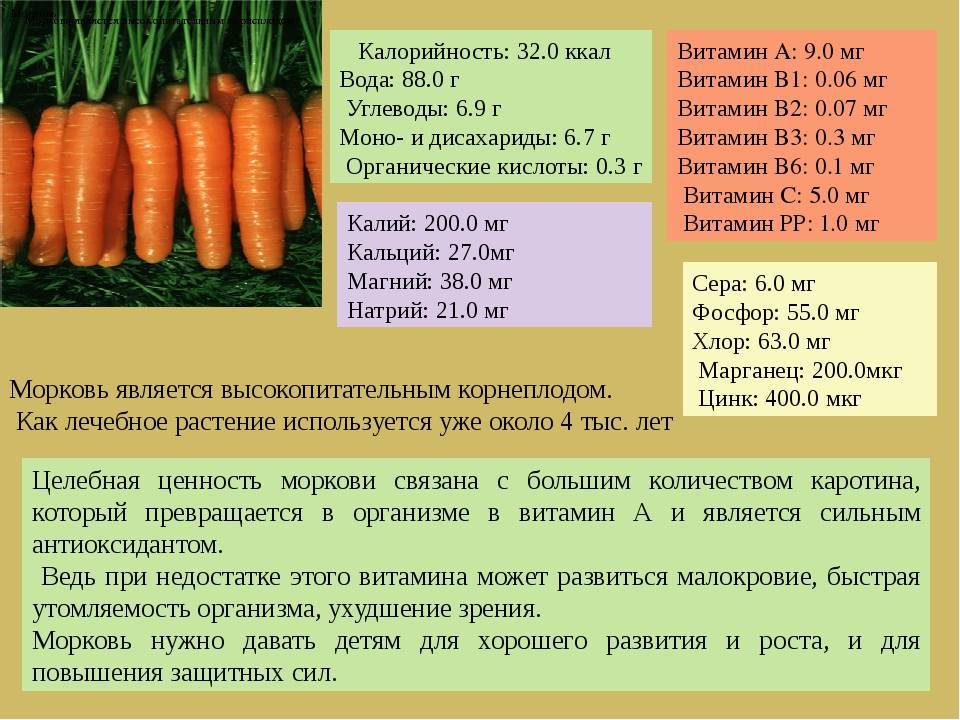 Морковь: описание, посадка в открытый грунт, уход, подкормка (фото & видео) +отзывы
